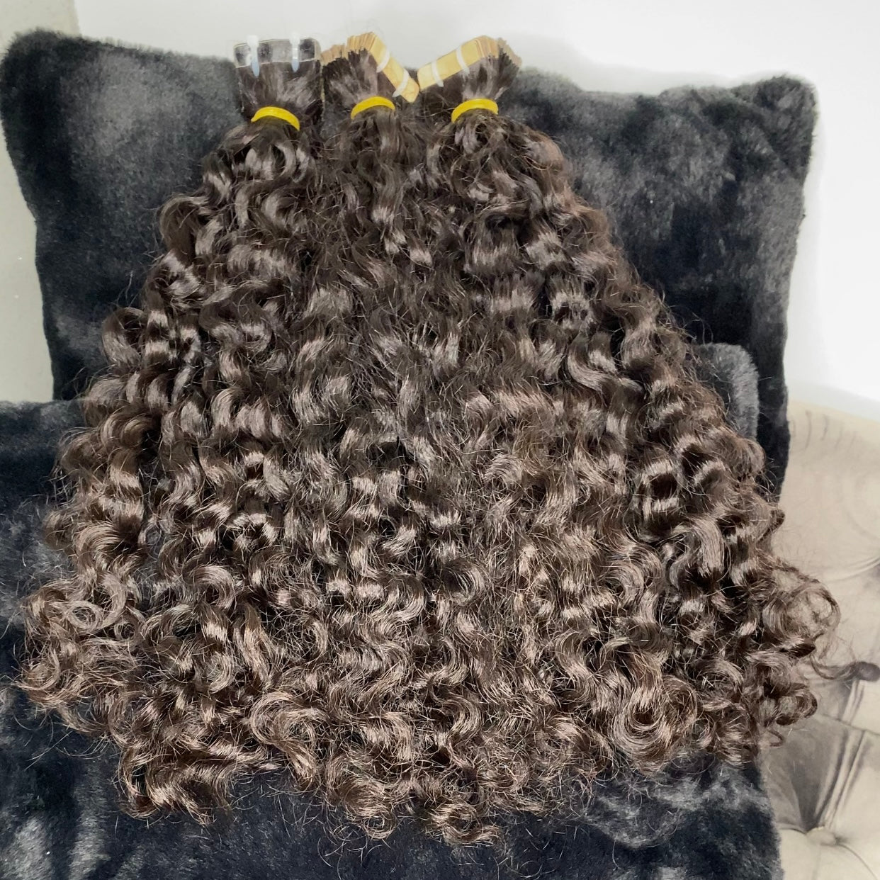 RAW BURMESE CURLY